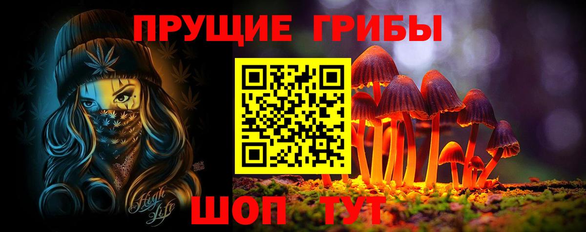 Псилоцибиновые грибы ЛСД Сосновый Бор